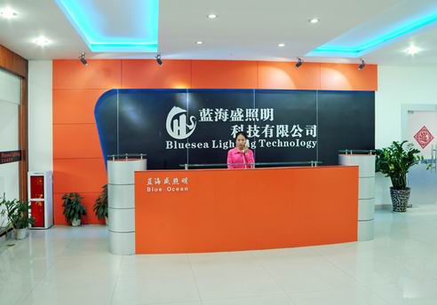 深圳市蓝海盛照明科技有限公司