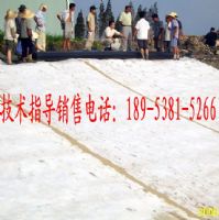 浙江膨润土防水毯厂家，河南膨润土防水毯厂家招商加盟