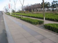 五莲红路边石安装，供五莲红火烧板，五莲红盲道板
