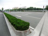山东路边石，供山东路缘石，山东路沿石，芝麻灰路边石