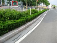 鲁兴山东树池石，树穴石，曲线树围石，树侧石