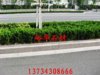 峪华石材芝麻灰路边石，芝麻灰路缘石，芝麻灰盲道石