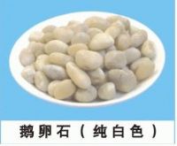 资深鹅卵石生产厂家 鹅卵石年底最新报价单
