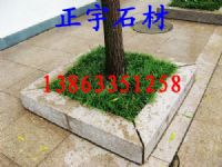 正宇山前灰树坑石，倒角树坑石，树坑石，五莲花树坑石