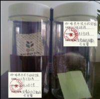 供应最牛四川手袋防霉片批发