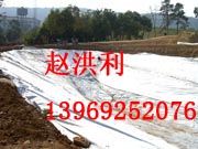 供应【品牌复合土工膜】复合土工膜|国标复合土工膜