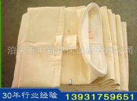 除尘骨架布袋特点及工艺设计是一种干式高效除尘器