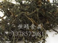 马齿苋诸多菜品的做法