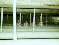 除雾器叶片间距是十分重要是堵塞、结垢原因
